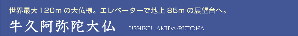 世界最大120mの大仏様。エレベーターで地上85mの展望台へ。