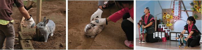 ふれあい動物公園