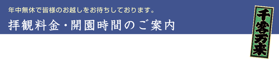 年中無休で皆様のお越しをお待ちしております。