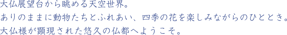 大仏展望台から眺める天空世界。動物たちとふれあい、四季の花を楽しみながらのピクニック。仏教世界を現した壮大なテーマパークへようこそ。