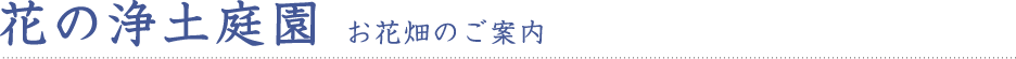花の浄土庭園 お花畑のご案内